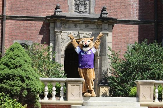 波胆网站吉祥物照片, 卡森美洲狮, 在荫边校园的红砖建筑前摆姿势